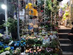 -循礼门鲜花花市(武汉循礼门店)