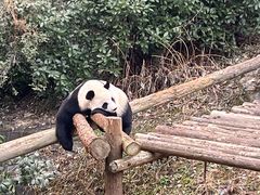-红山森林动物园