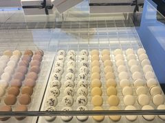 -BLACKSWAN黑天鹅(环球店)