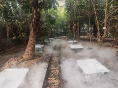 -呀路古热带植物园