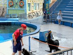 -华夏文旅海洋公园