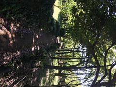 -汉拿树木园