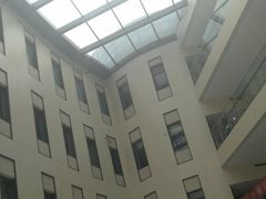 -首都医科大学附属北京天坛医院
