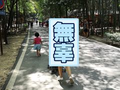 -石燕湖生态旅游景区