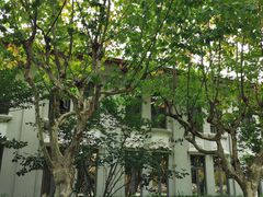 -上海财经大学(国定路校区)