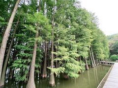 -采石矶景区