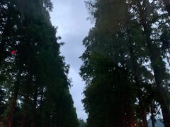 -井冈山风景名胜区