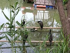 -长兴太湖图影湿地文化园