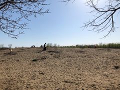 -东郊湿地公园