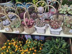 -循礼门鲜花花市(武汉循礼门店)