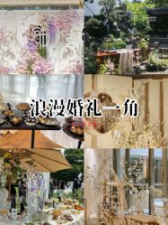 -DC大蔡婚礼策划(李公堤店)
