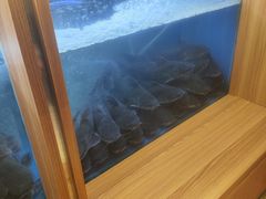 -鱼酷活鱼烤鱼(新世界城店)