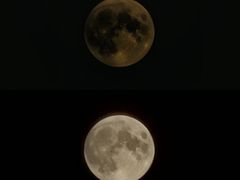 -Mark&Mars Restaurant