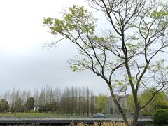 -两河城市森林公园