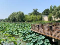 -苏州东太湖生态园