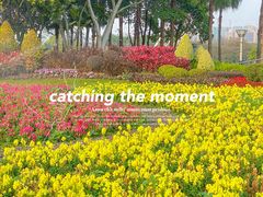 -文华公园(禅城区)