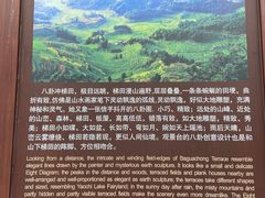 -紫鹊界梯田景区