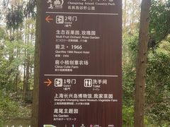 -上海长兴岛郊野公园