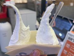-野人先生Gelato(上海长宁龙之梦店)