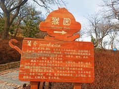 -海上云台山景区