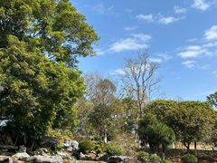 -东莞植物园