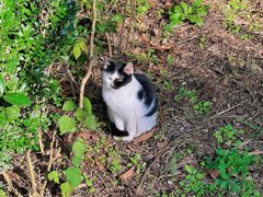 -上海佘山国家森林公园天马山园