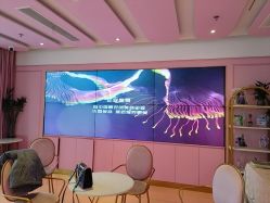 -莎蔓莉莎美容会所