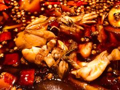 -宽口美蛙鱼头(大唐西市店)