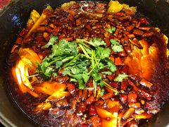 -受气牛肉·重庆耙牛肉(来福士店)