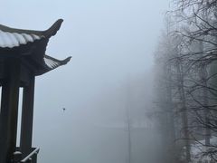 -四明山国家森林公园