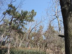-贮水山儿童公园