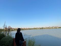 -美的鹭湖森林度假区