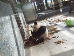 -西安秦岭野生动物园