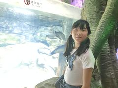 -泉城欧乐堡海洋极地世界