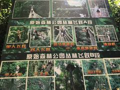 -西双版纳原始森林公园