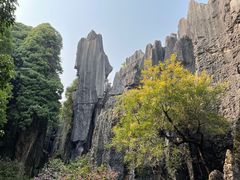 -隔壁老王·家常云南菜(花巷店)