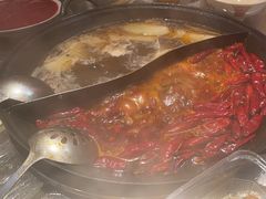 -朱光玉火锅馆(正弘城店)