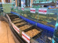水产区-王子私厨(鸿通城购物中心店)
