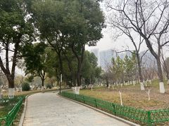 -堤角公园