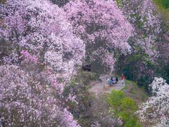 -九皇山景区