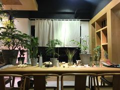 -柴务处·柴犬主题狗咖