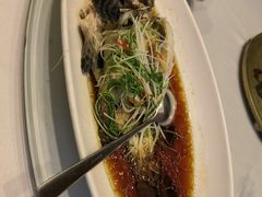 -骏莱海鲜鱼港(五角场店)