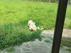 -沈阳森林动物园