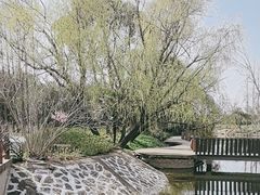 -上海滨江森林公园
