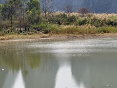 -钟山水墨田园