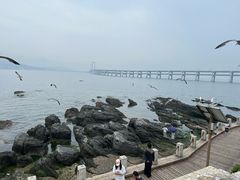 -黑石礁公园