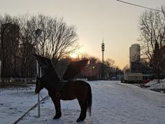 -沈阳奥体冰雪嘉年华