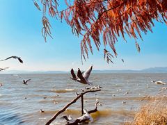 -捞渔河湿地公园