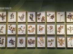 -杭州植物园