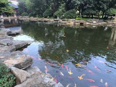 -青岛鑫江温德姆酒店